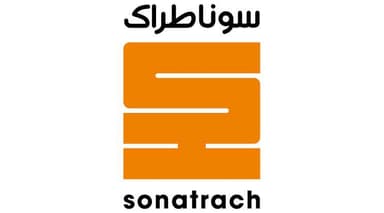 Partner 2 Logo
